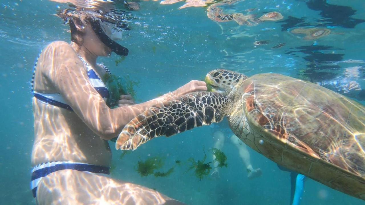 Turtle Beach House Batigama Esterno foto