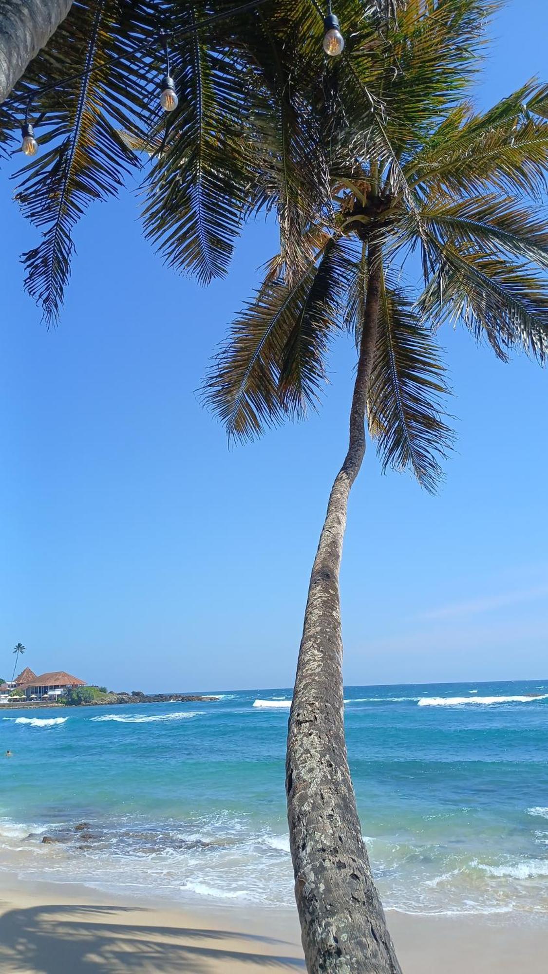 Turtle Beach House Batigama Esterno foto